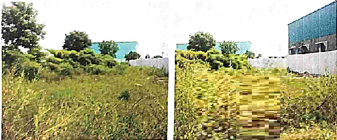 course